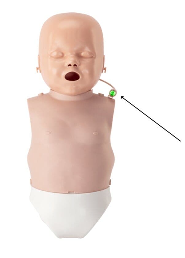 PRESTAN Infant Ultralite Manikin - Image 2