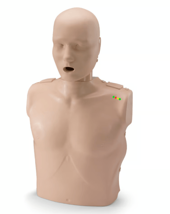 PRESTAN Manikin Professional TAKE2 Manikins and AED Trainers Package
