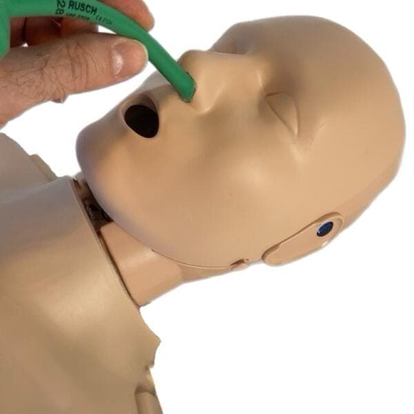 Prestan Pro+ Adult Head